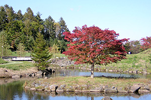 コース風景